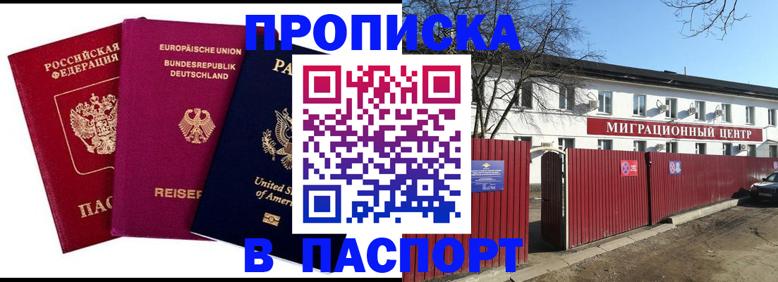 прописка в квартире в Тайге